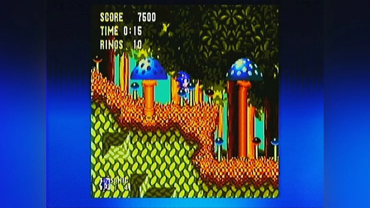 Скриншоты из Sonic & Knuckles / Картинка 108
