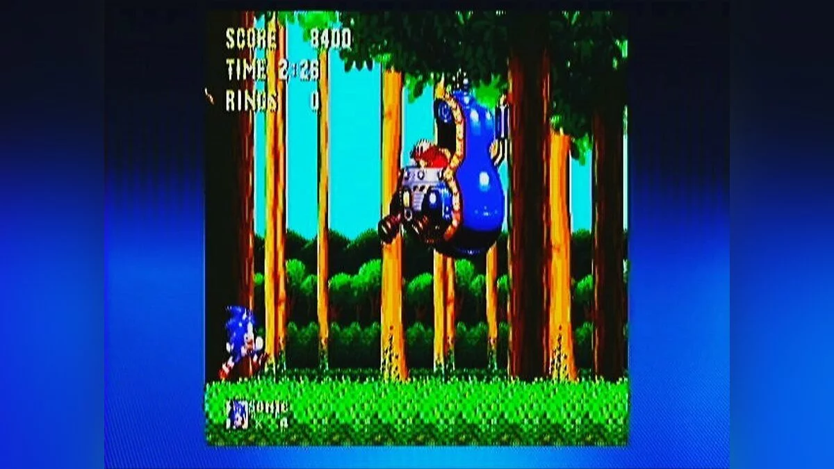 Скриншоты из Sonic & Knuckles / Картинка 109