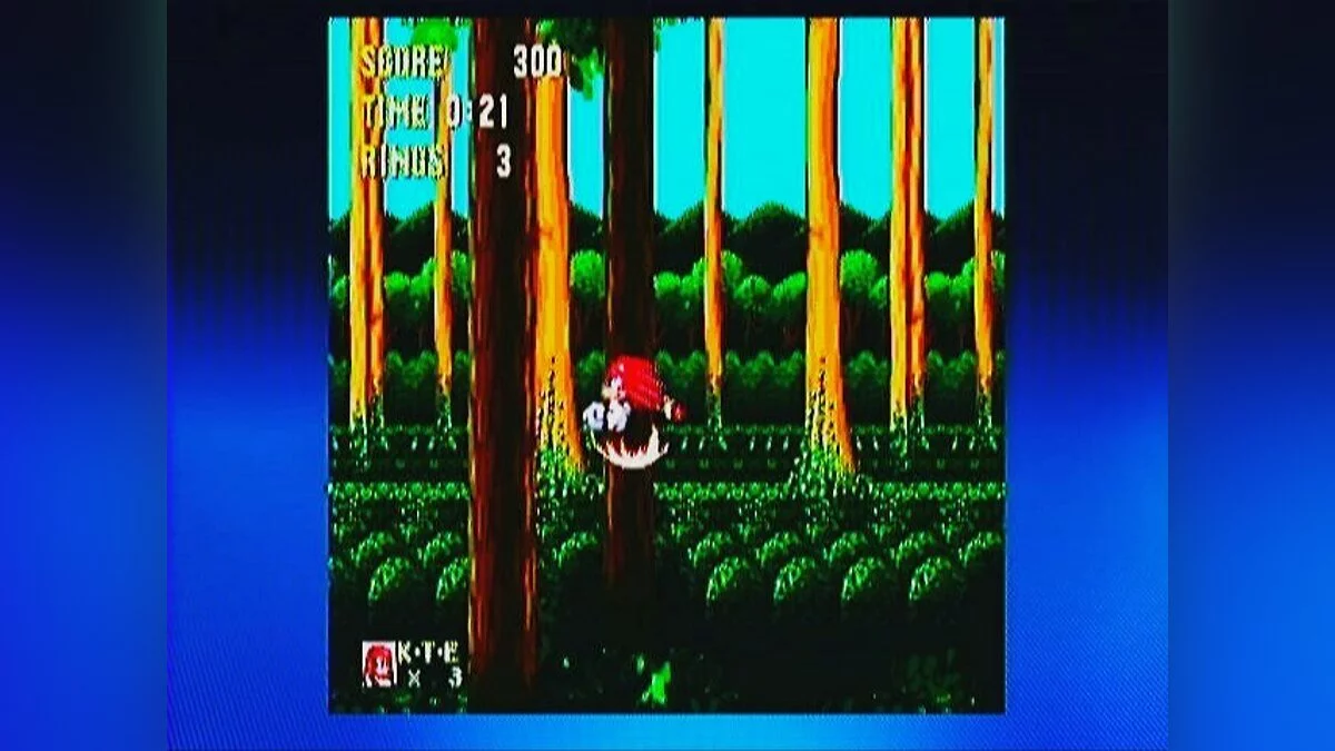 Скриншоты из Sonic & Knuckles / Картинка 113