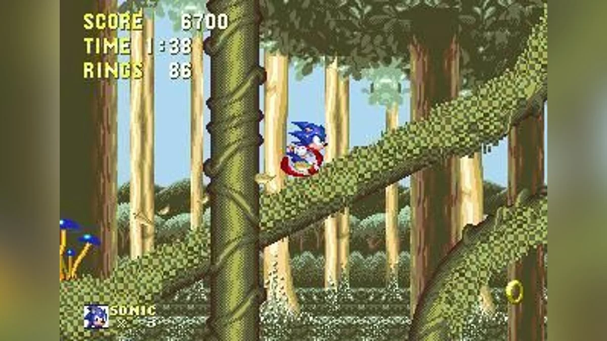 Скриншоты из Sonic & Knuckles / Картинка 57