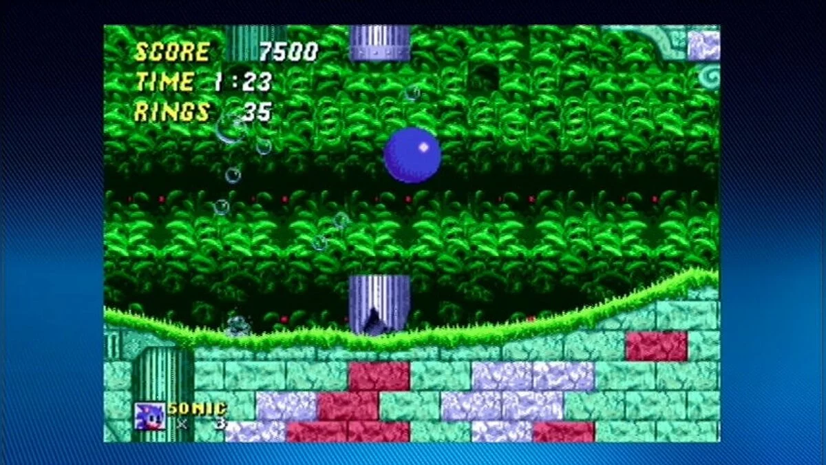 Скриншоты из Sonic the Hedgehog 2 / Картинка 229