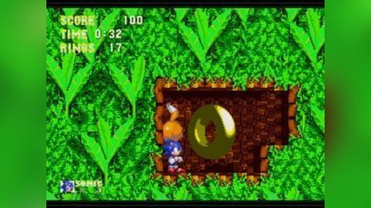 Скриншоты из Sonic the Hedgehog 3 / Картинка 50