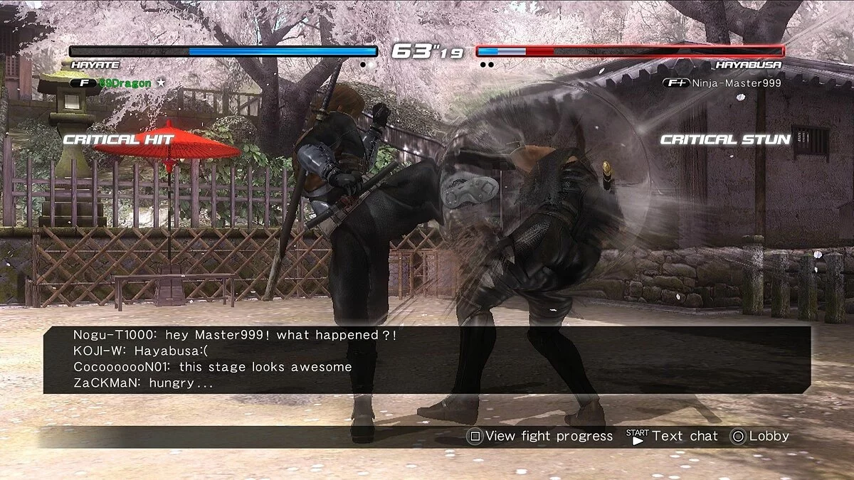 Скриншоты из Dead or Alive 5 / Картинка 96