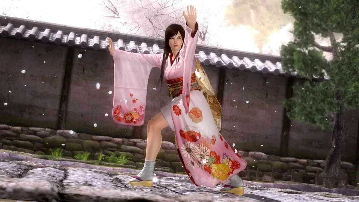 Скриншоты из Dead or Alive 5 / Картинка 225