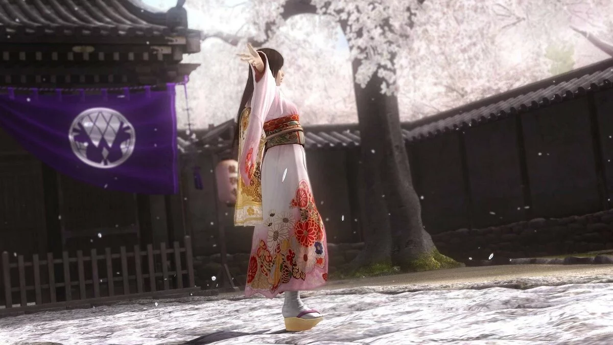 Скриншоты из Dead or Alive 5 / Картинка 229