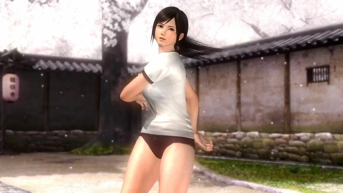Скриншоты из Dead or Alive 5 / Картинка 173