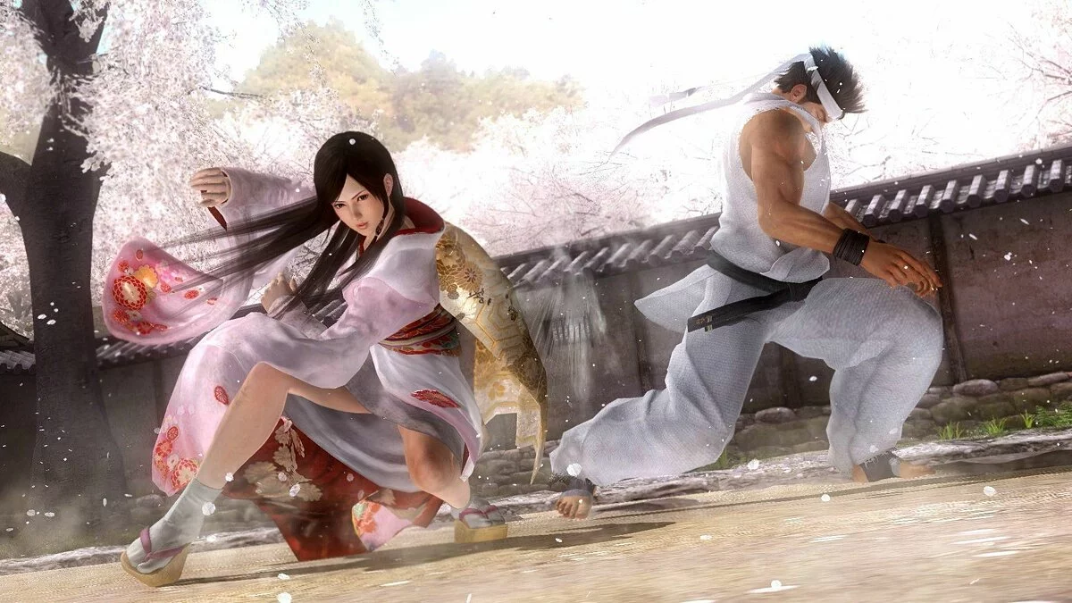 Скриншоты из Dead or Alive 5 / Картинка 43