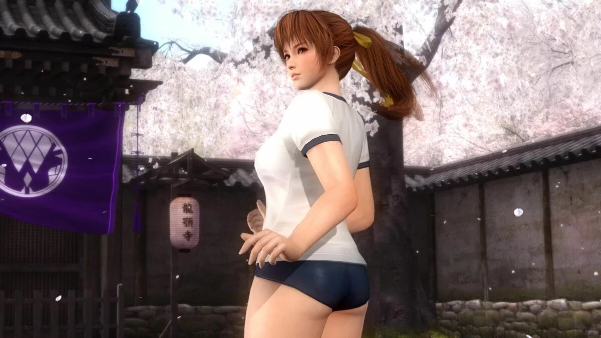 Скриншоты из Dead or Alive 5 / Картинка 175