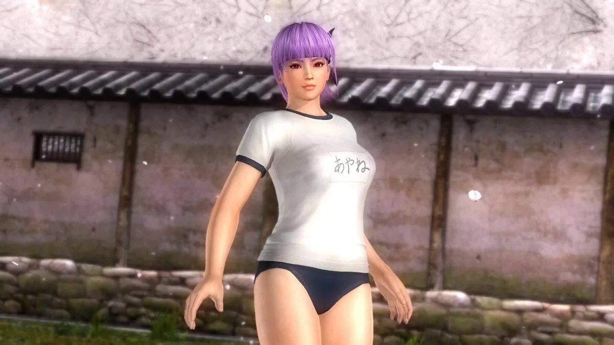 Скриншоты из Dead or Alive 5 / Картинка 176