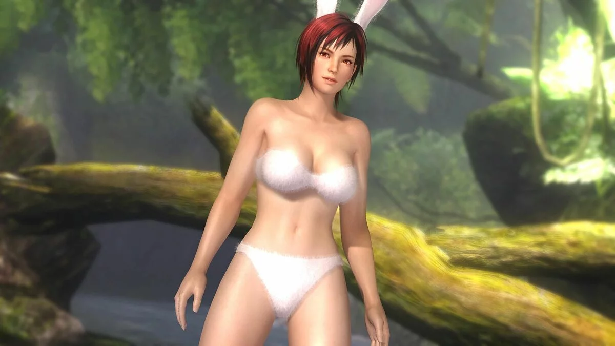 Скриншоты из Dead or Alive 5 / Картинка 179