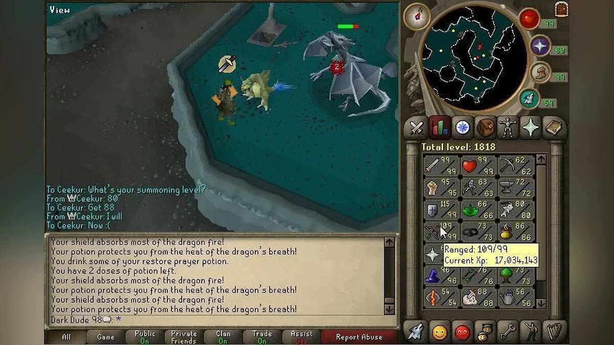 Скриншоты из RuneScape / Картинка 24