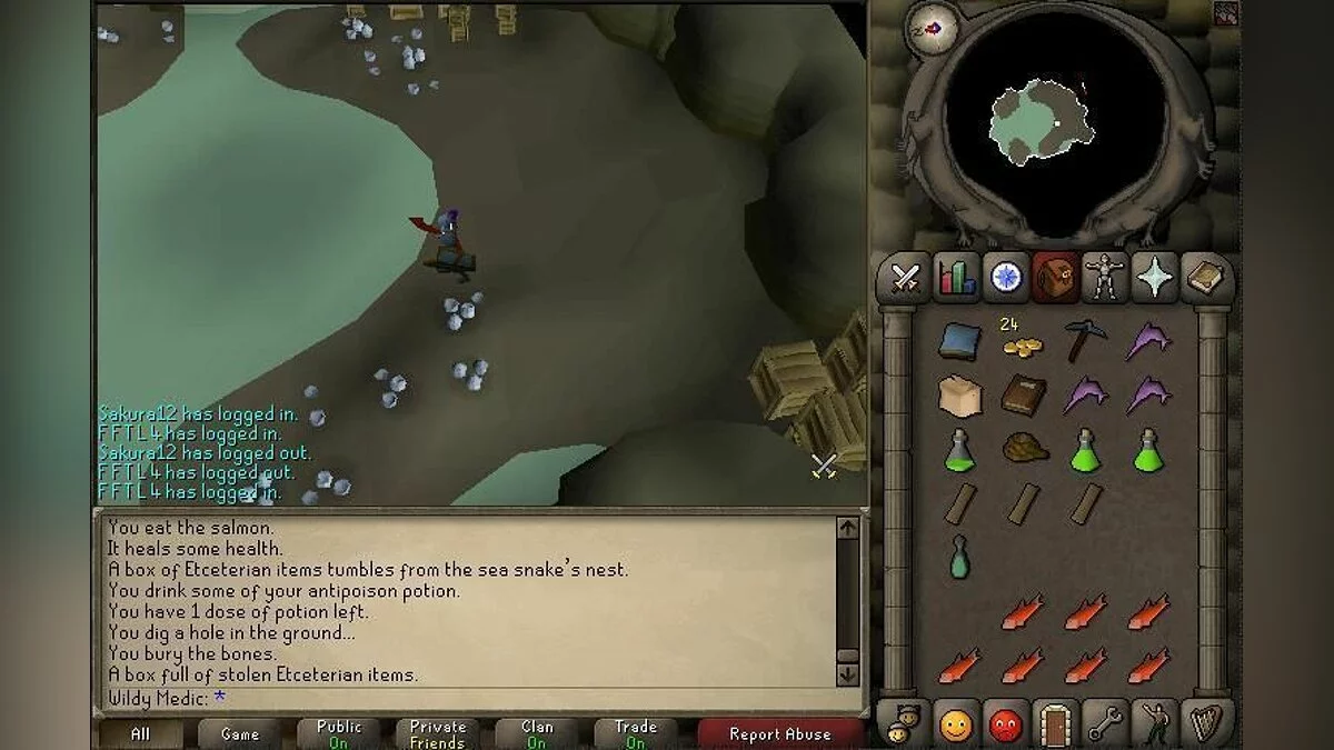 Скриншоты из RuneScape / Картинка 40