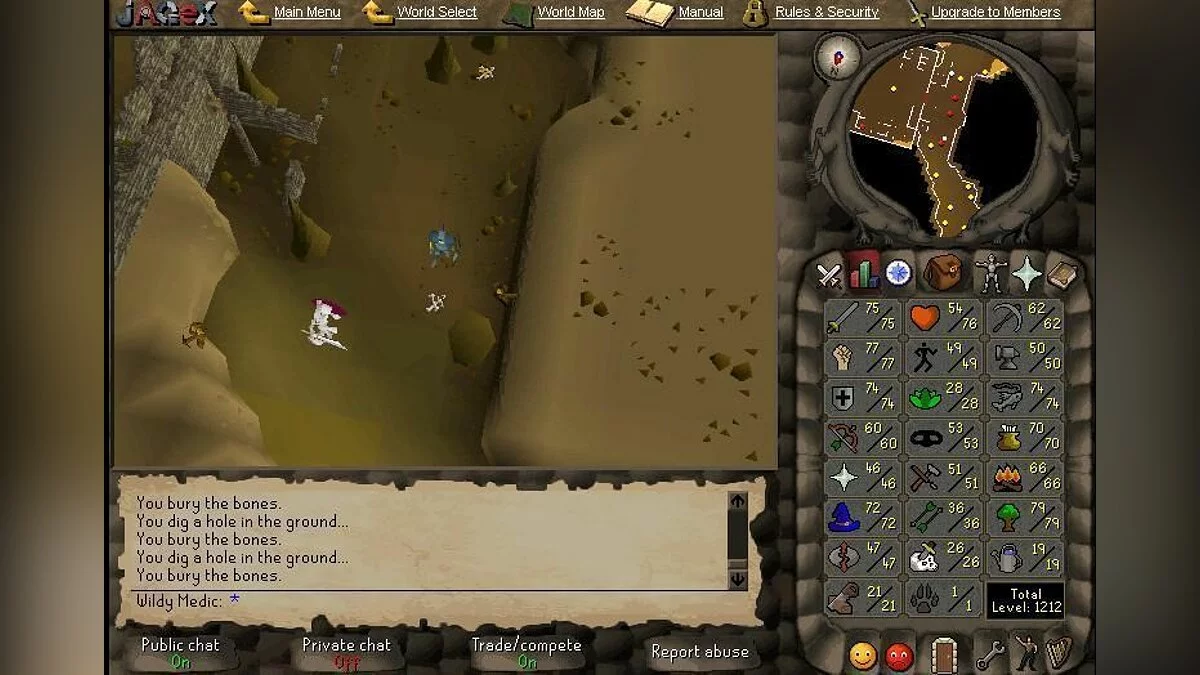 Скриншоты из RuneScape / Картинка 48