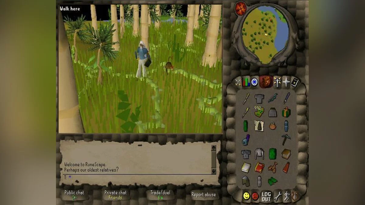 Скриншоты из RuneScape / Картинка 73