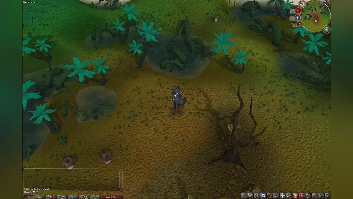 Скриншоты из RuneScape / Картинка 98