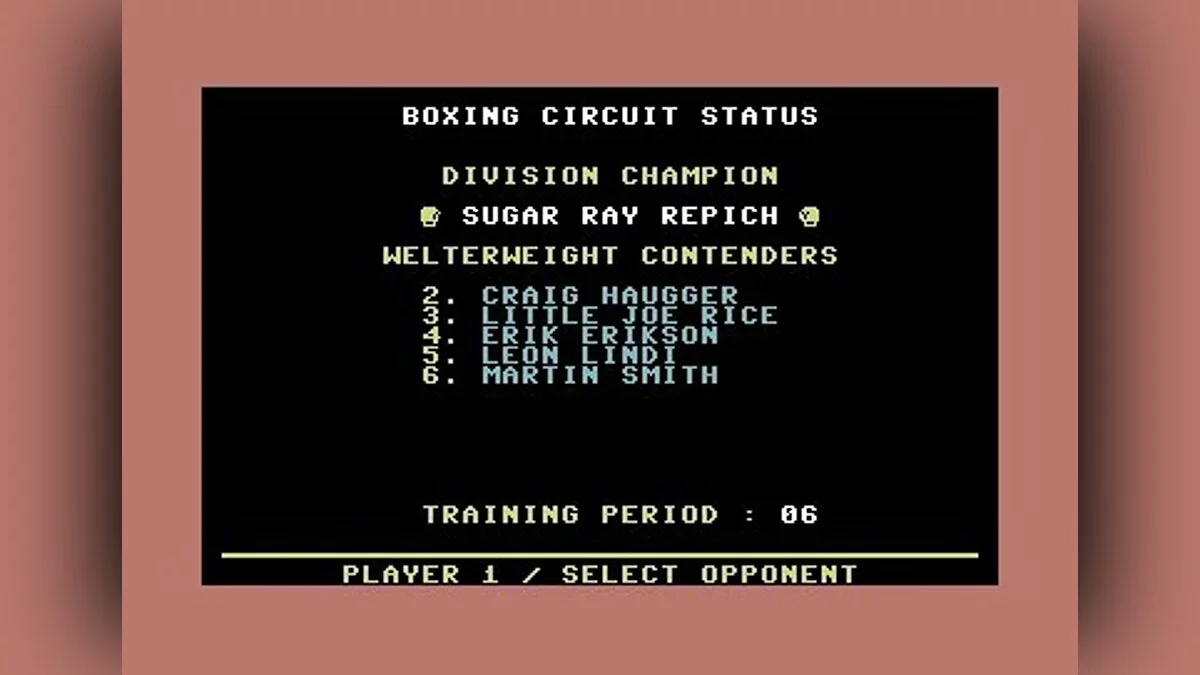 Скриншоты из Star Rank Boxing 2 / Картинка 18