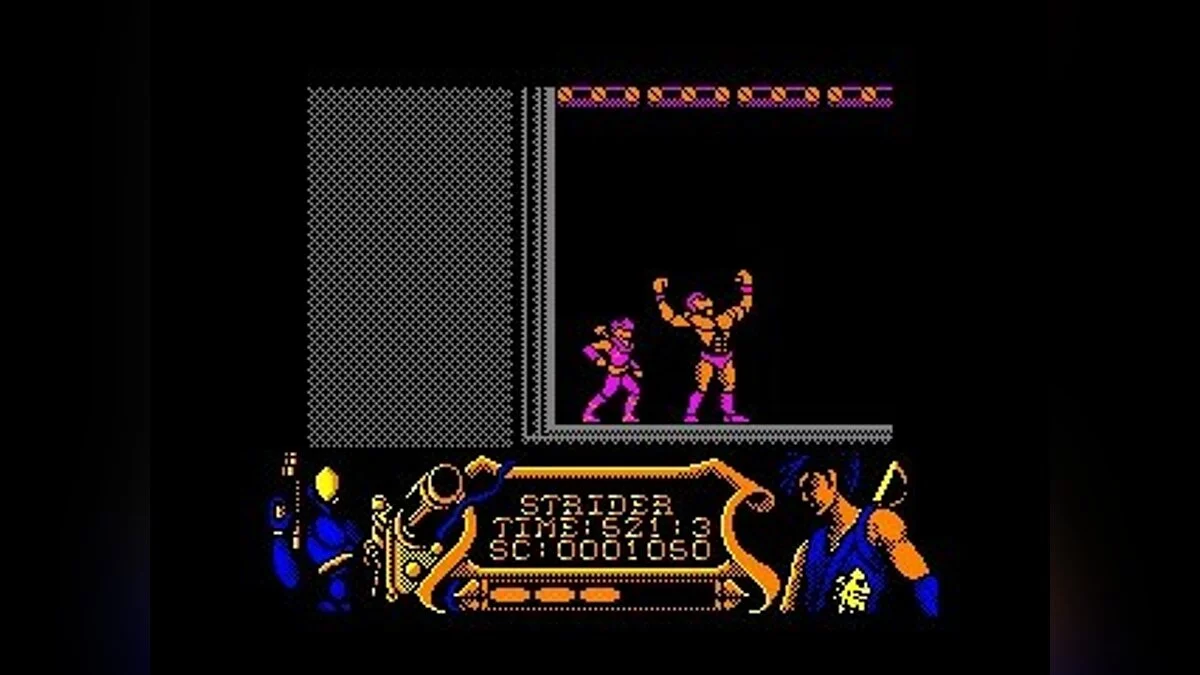 Скриншоты из Strider (1989) / Картинка 88