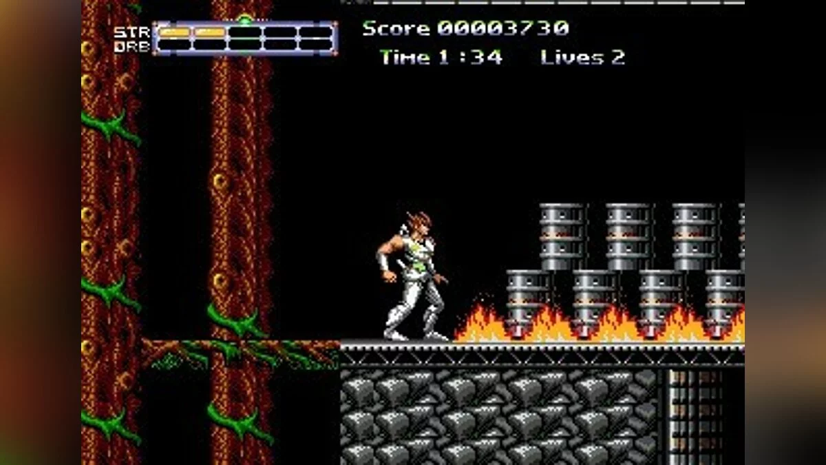 Скриншоты из Strider 2 (1990) / Картинка 100