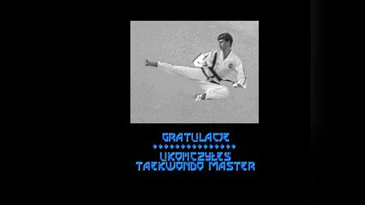 Скриншоты из Super TaeKwonDo Master / Картинка 15