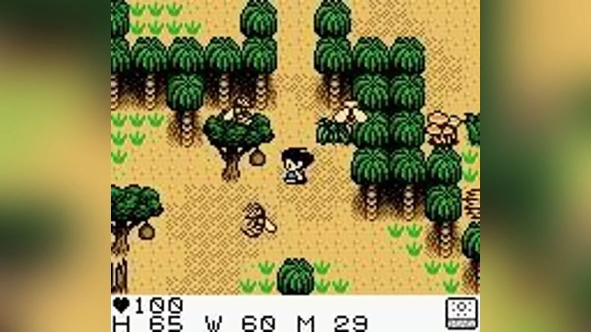 Скриншоты из Survival Kids / Картинка 13