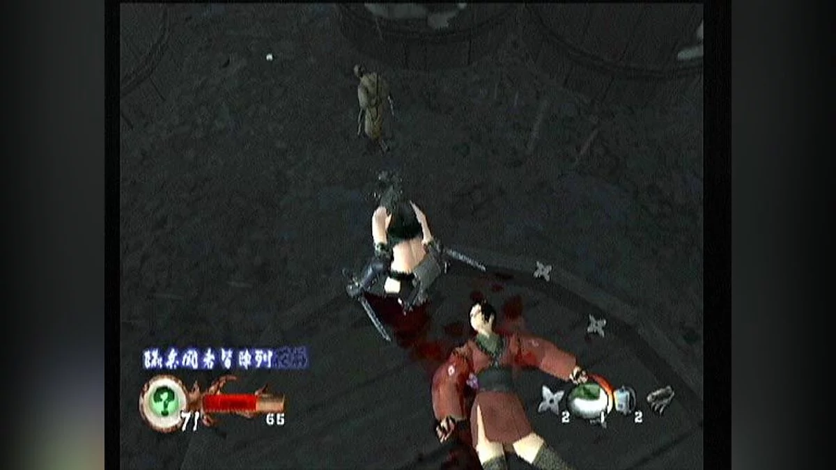 Скриншоты из Tenchu: Return from Darkness / Картинка 2
