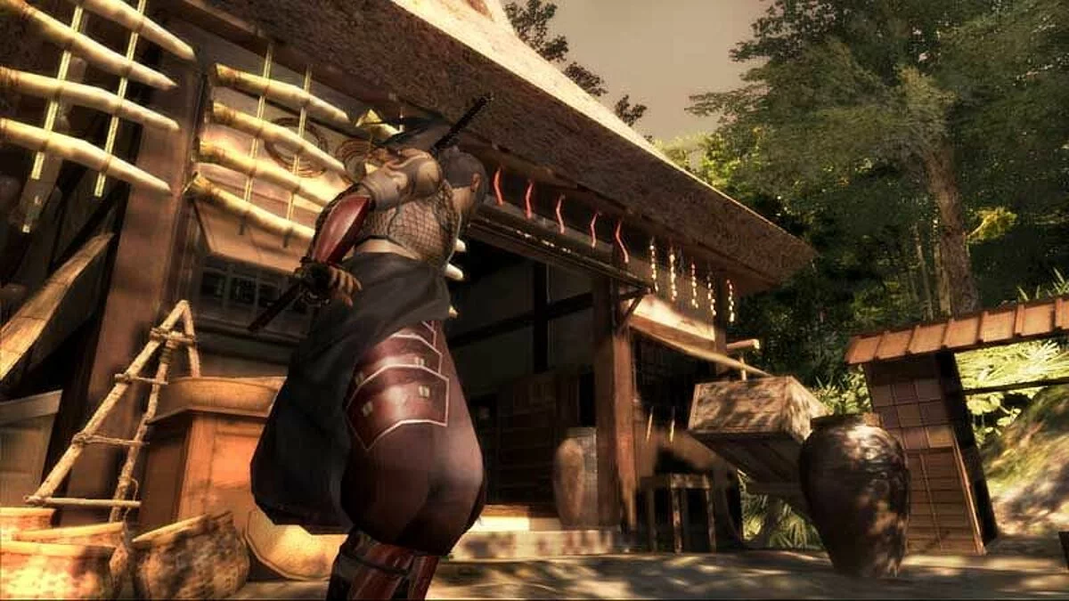 Скриншоты из Tenchu Z / Картинка 25