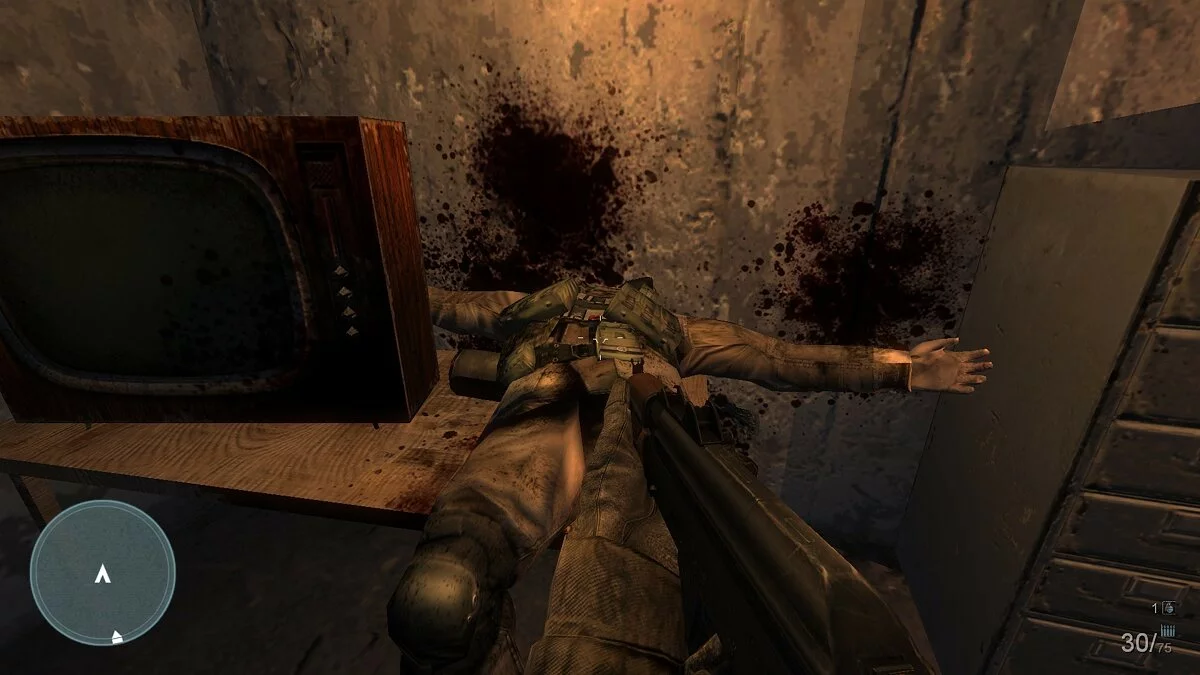 Скриншоты из Terrorist Takedown 2: US Navy SEALs / Картинка 20