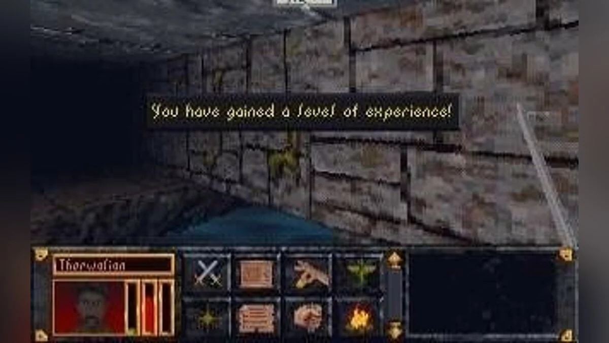 Скриншоты из Elder Scrolls: Arena / Картинка 52