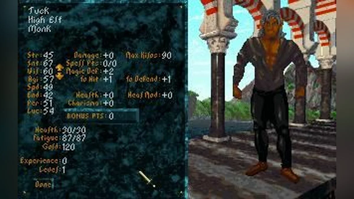 Скриншоты из Elder Scrolls: Arena / Картинка 31
