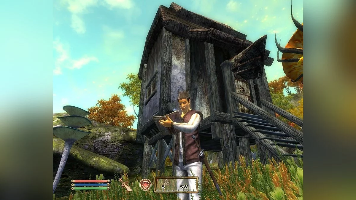 Скриншоты из Elder Scrolls 4: Shivering Isles / Картинка 150