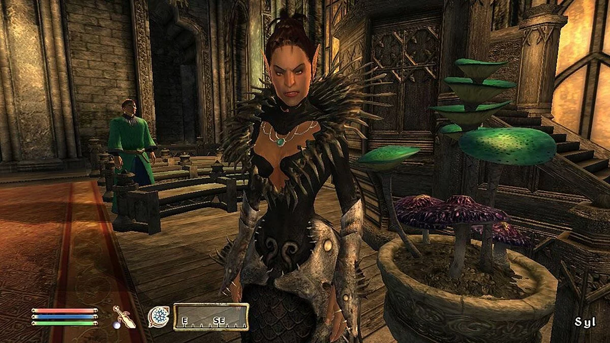 Скриншоты из Elder Scrolls 4: Shivering Isles / Картинка 10