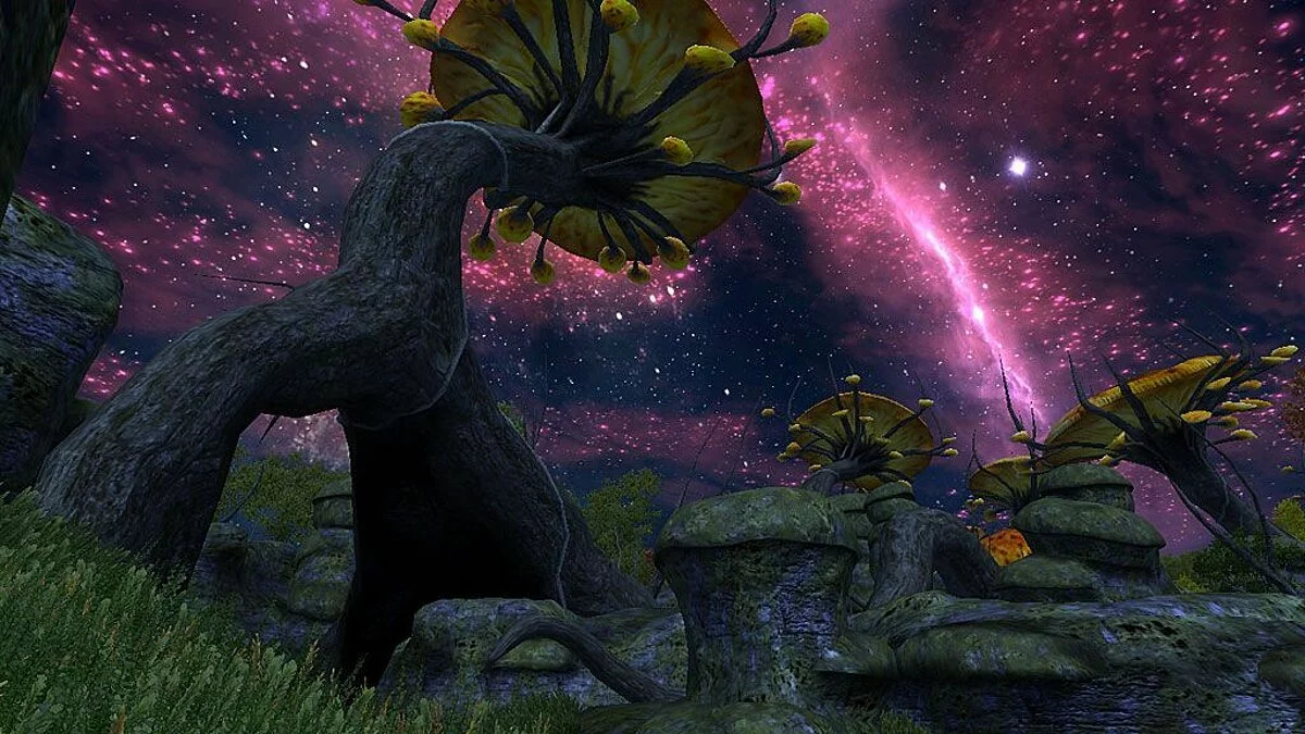 Скриншоты из Elder Scrolls 4: Shivering Isles / Картинка 11