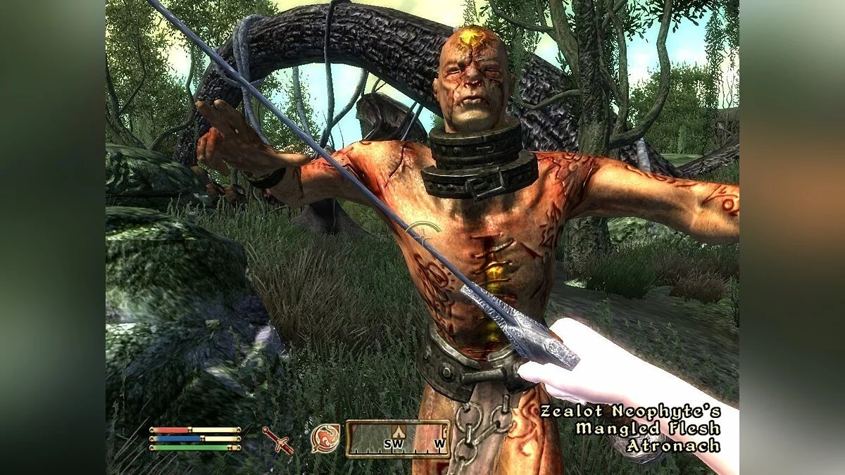 Скриншоты из Elder Scrolls 4: Shivering Isles / Картинка 39