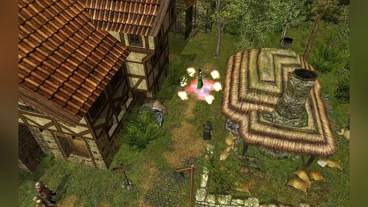 Скриншоты из The Guild 2: Renaissance / Картинка 25