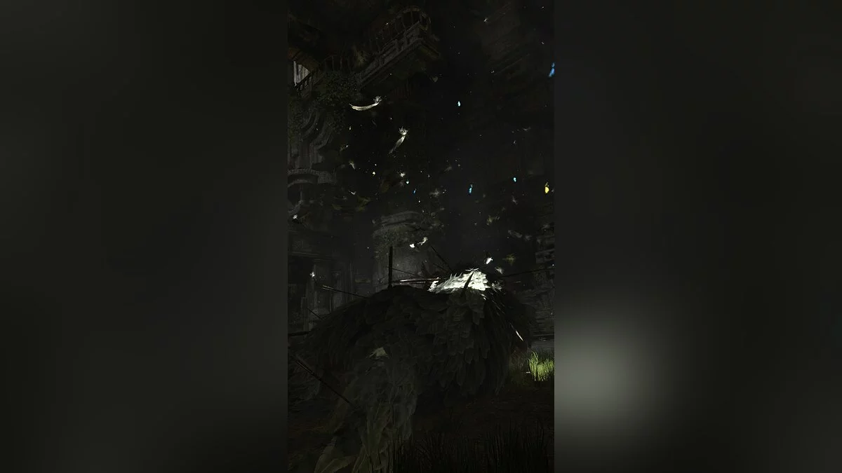 Скриншоты из Last Guardian / Картинка 20