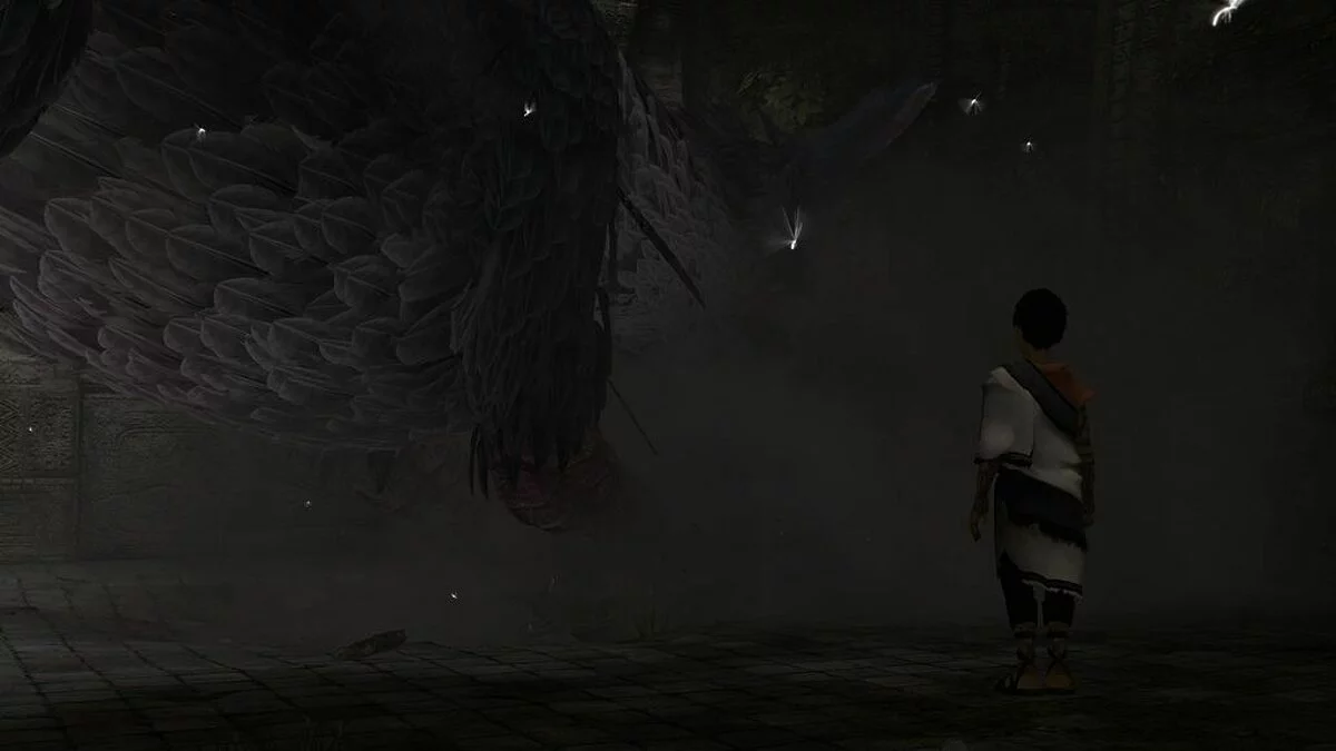 Скриншоты из Last Guardian / Картинка 47