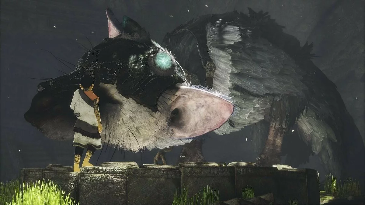Скриншоты из Last Guardian / Картинка 86