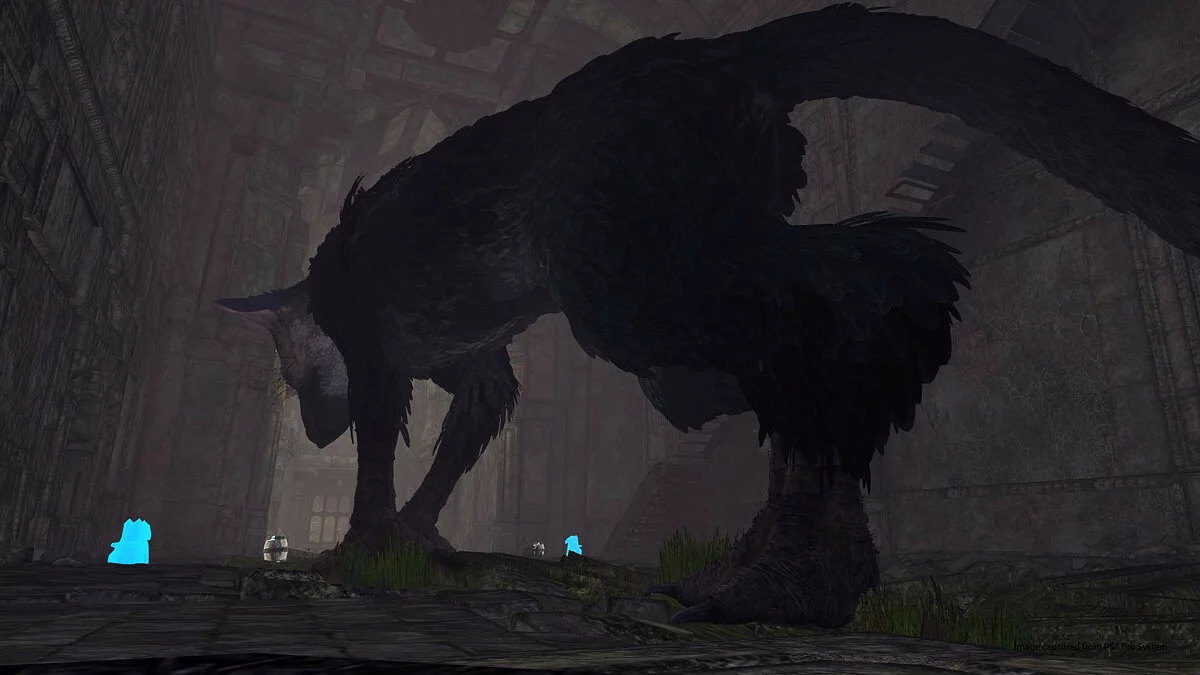 Скриншоты из Last Guardian / Картинка 76