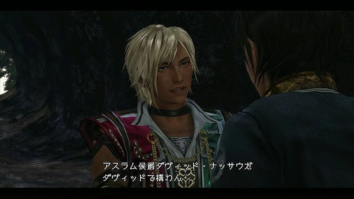 Скриншоты из Last Remnant / Картинка 97