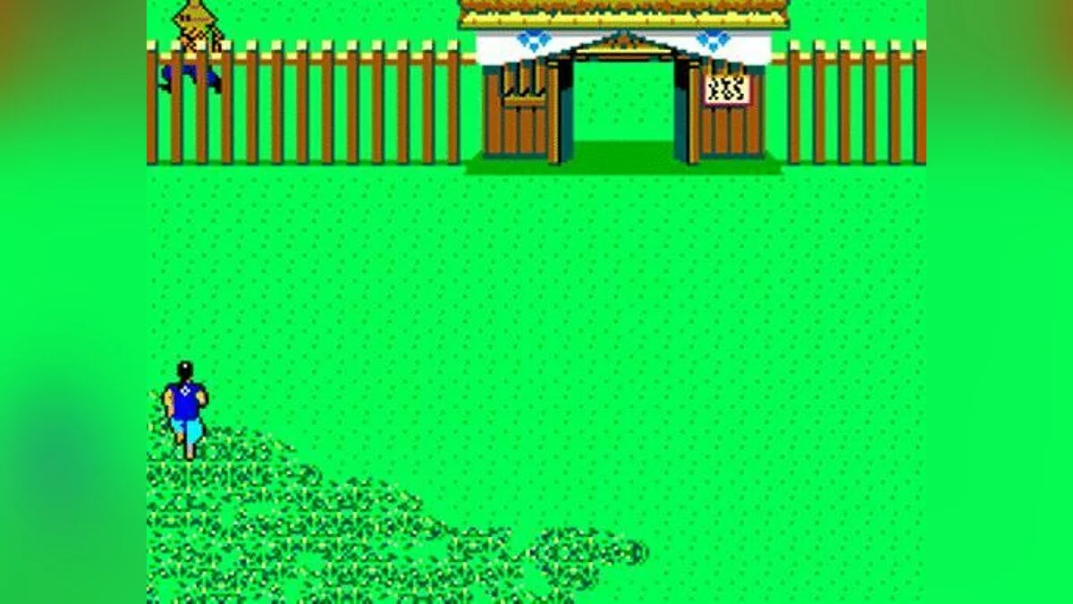 Скриншоты из Ninja / Картинка 23
