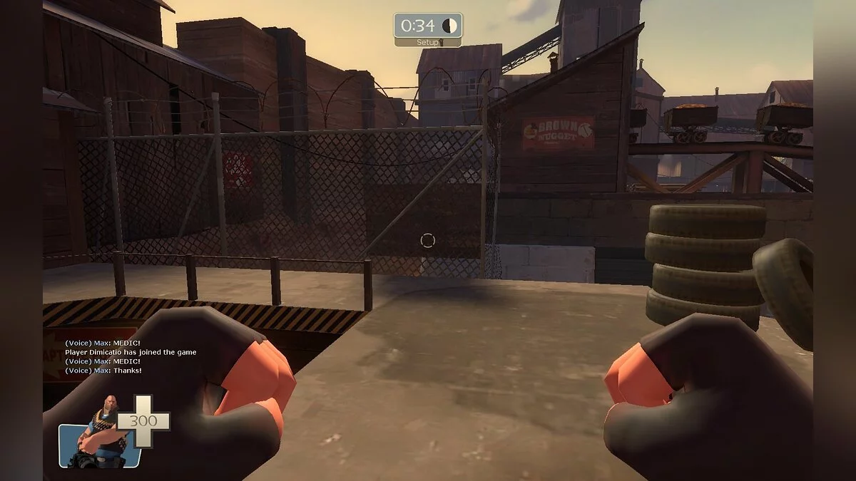 Скриншоты из Orange Box / Картинка 37