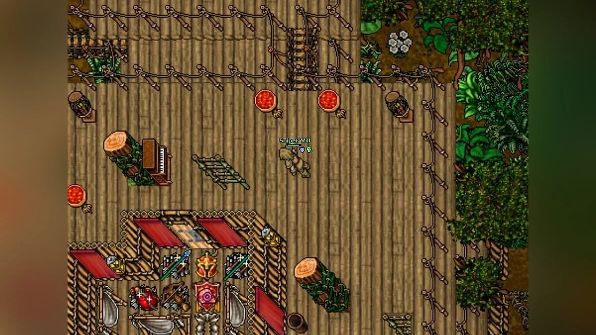 Скриншоты из Tibia / Картинка 1