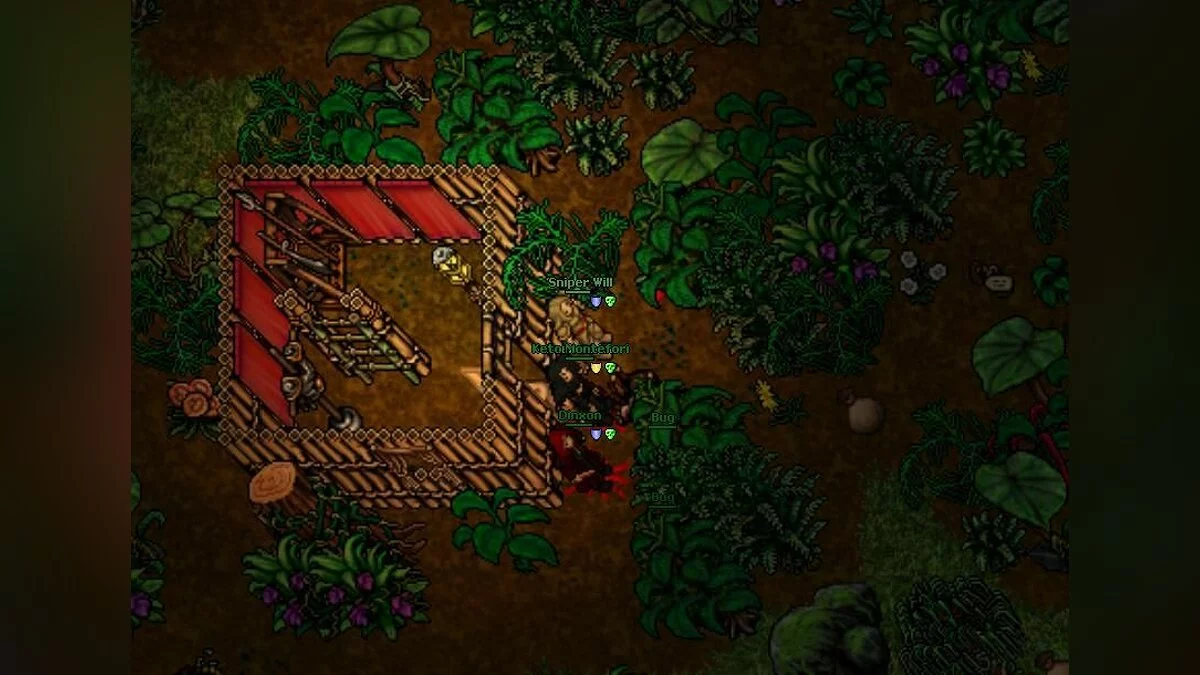 Скриншоты из Tibia / Картинка 2