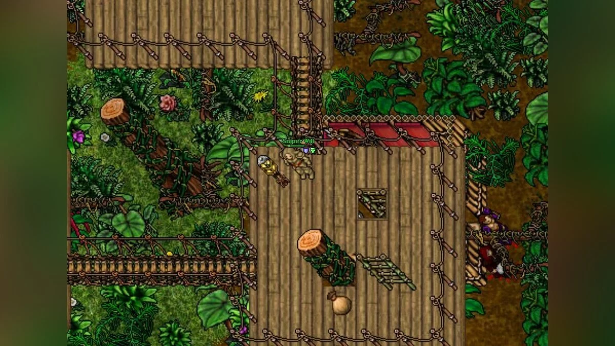 Скриншоты из Tibia / Картинка 3