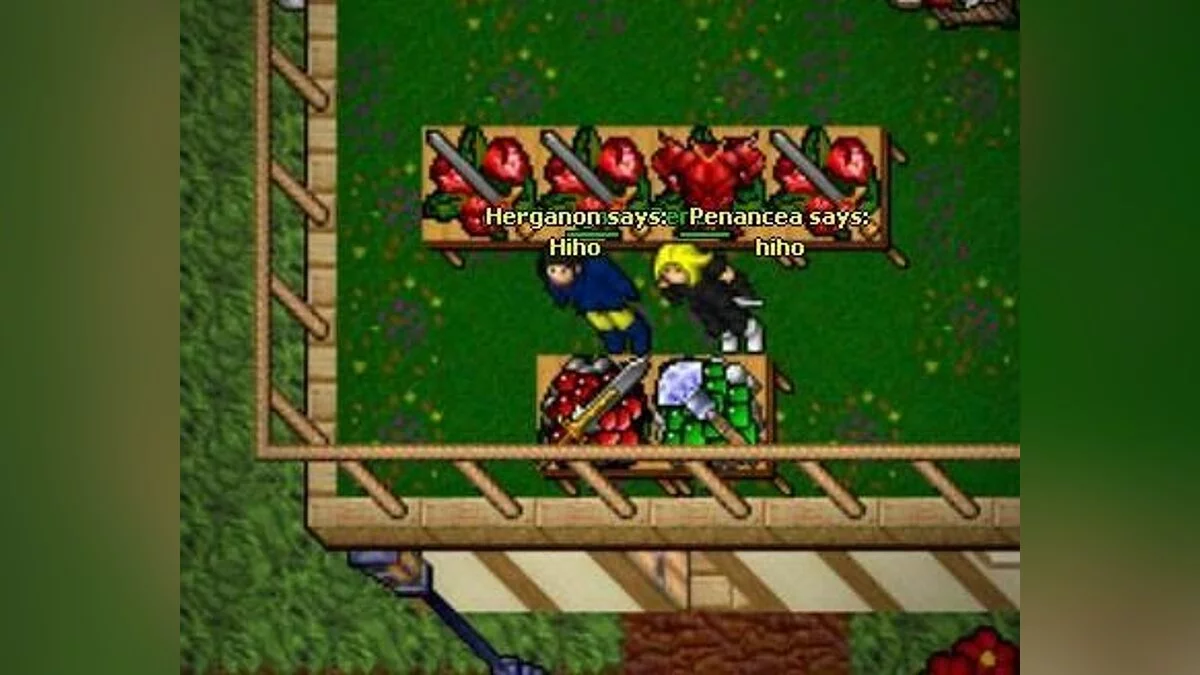 Скриншоты из Tibia / Картинка 25