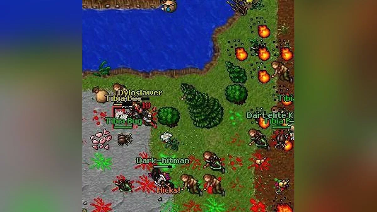 Скриншоты из Tibia / Картинка 40