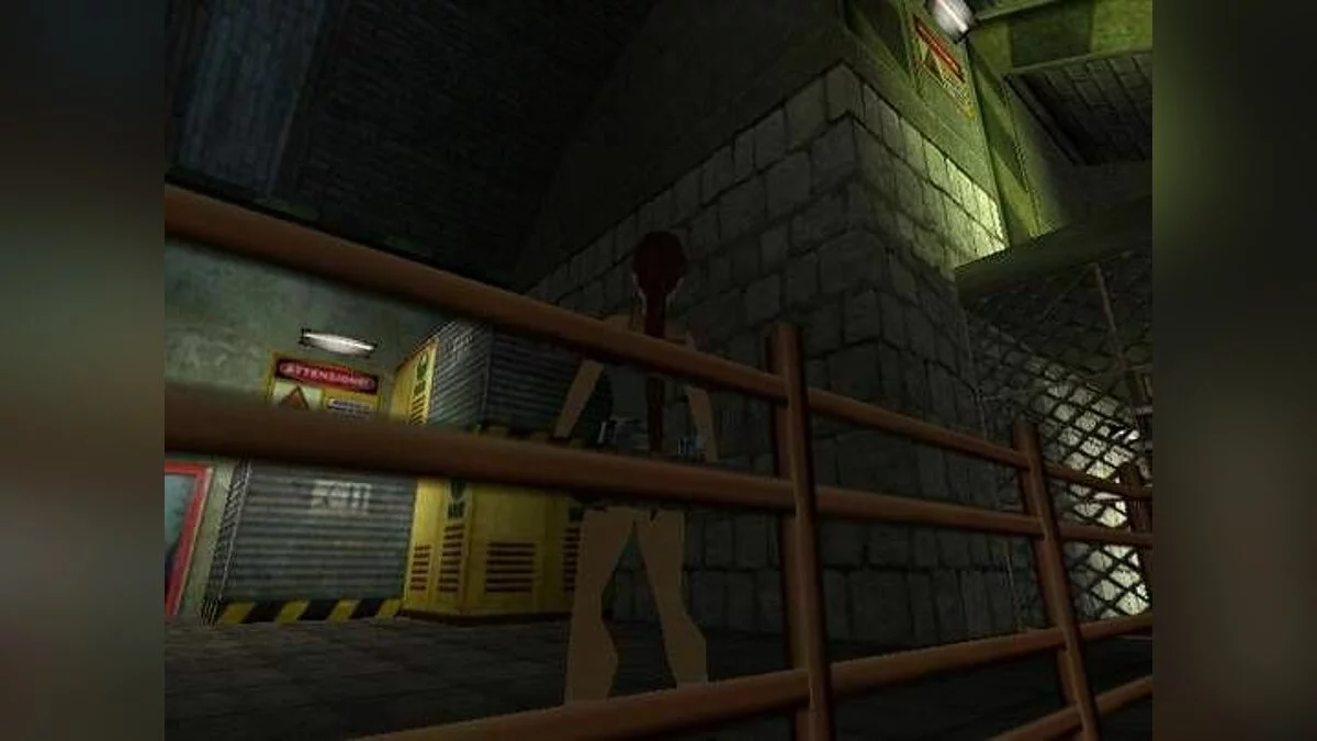 Скриншоты из Tomb Raider: Chronicles / Картинка 33