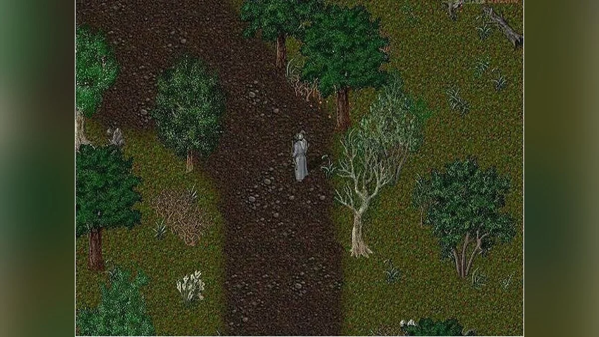 Скриншоты из Ultima Online / Картинка 15