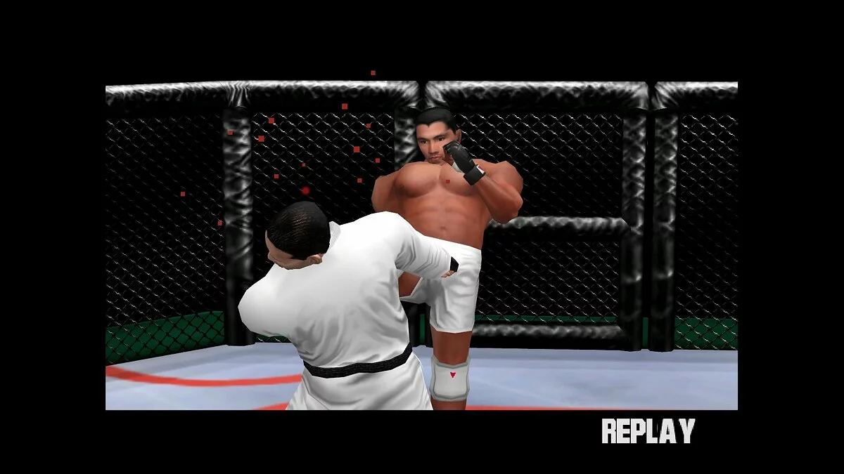 Скриншоты из Ultimate Fighting Championship / Картинка 40