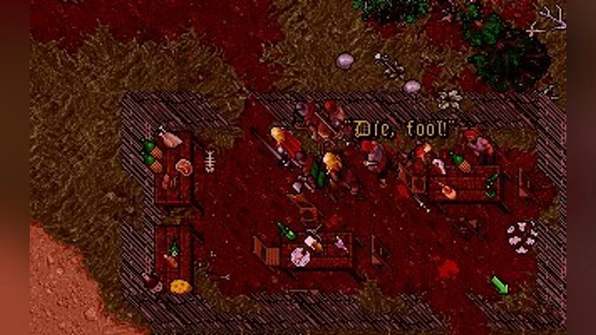 Скриншоты из Ultima 7: The Black Gate / Картинка 75